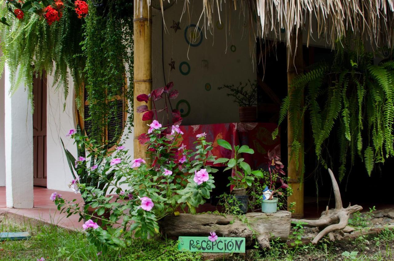 Hostal Corazon De Tagua Palomino Eksteriør bilde