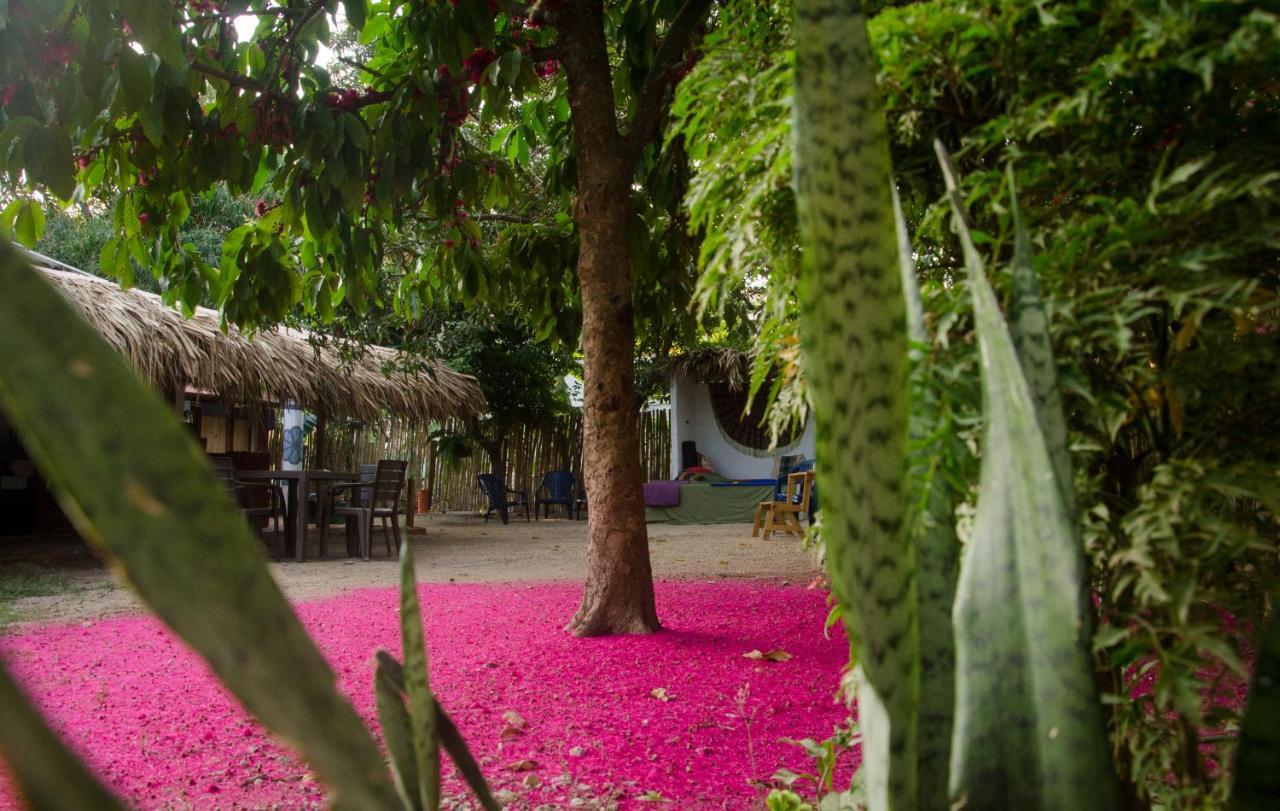 Hostal Corazon De Tagua Palomino Eksteriør bilde