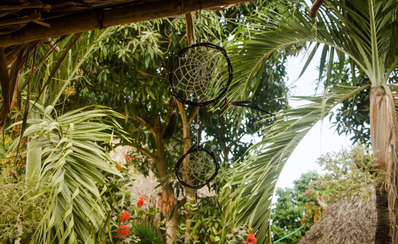 Hostal Corazon De Tagua Palomino Eksteriør bilde