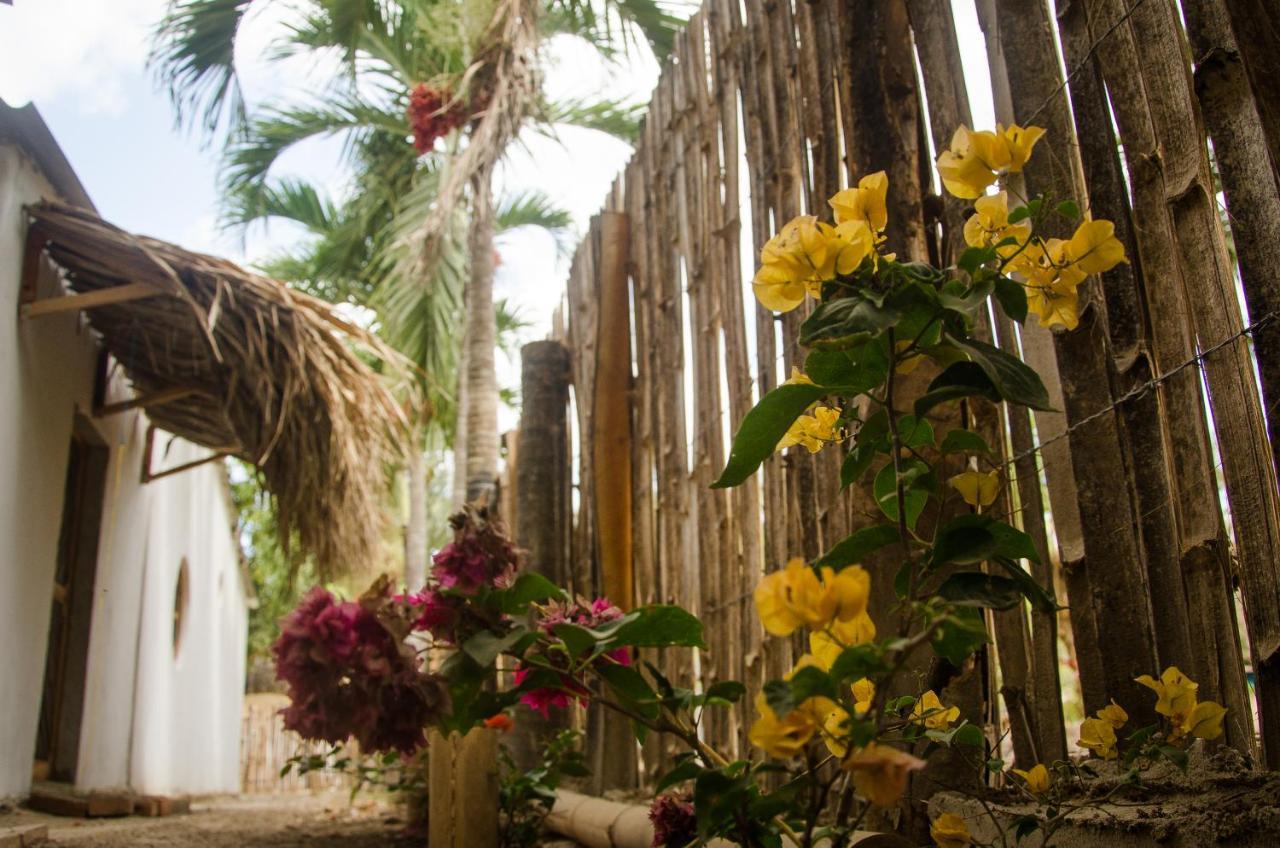Hostal Corazon De Tagua Palomino Eksteriør bilde
