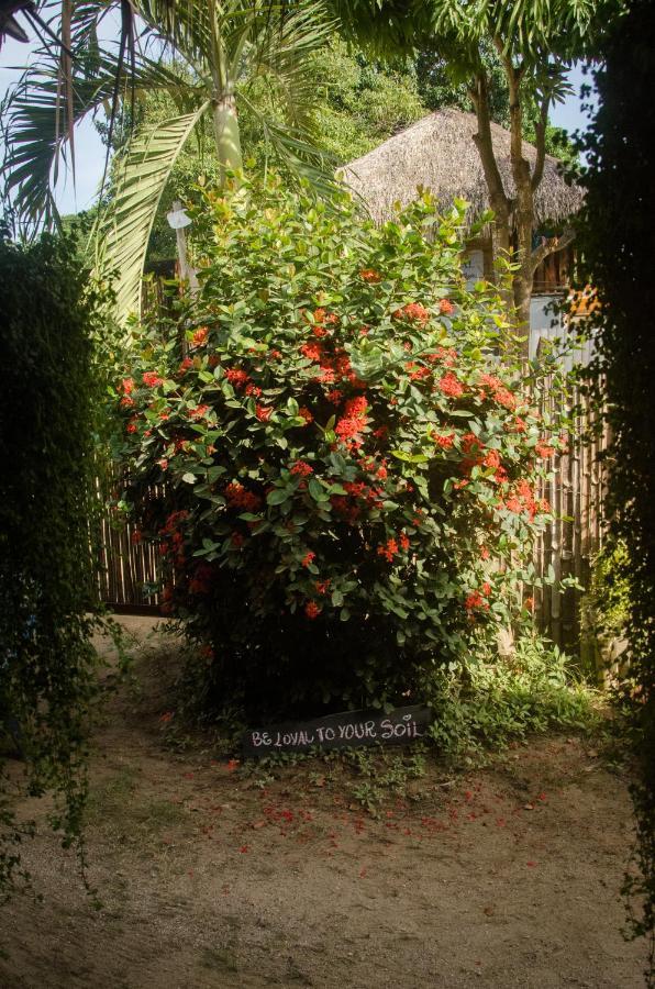 Hostal Corazon De Tagua Palomino Eksteriør bilde